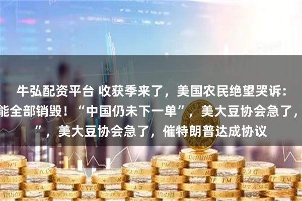 牛弘配资平台 收获季来了，美国农民绝望哭诉：中国不买了，我只能全部销毁！“中国仍未下一单”，美大豆协会急了，催特朗普达成协议