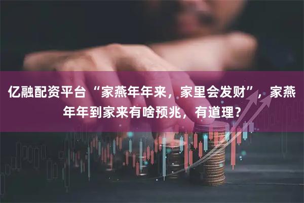 亿融配资平台 “家燕年年来，家里会发财”，家燕年年到家来有啥预兆，有道理？