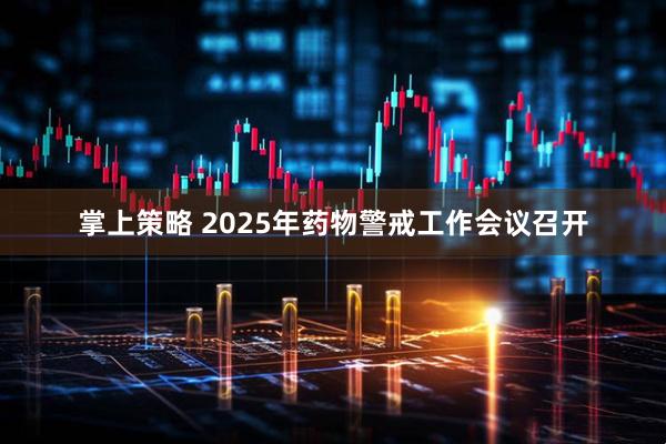 掌上策略 2025年药物警戒工作会议召开