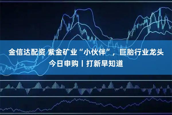 金信达配资 紫金矿业“小伙伴”,巨胎行业龙头今日申购丨打新早知道