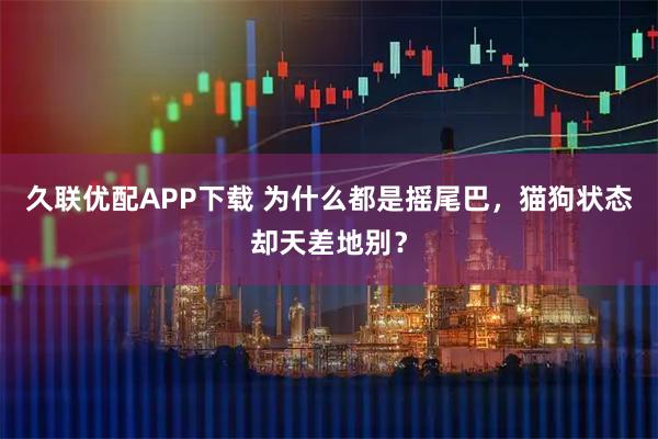 久联优配APP下载 为什么都是摇尾巴，猫狗状态却天差地别？
